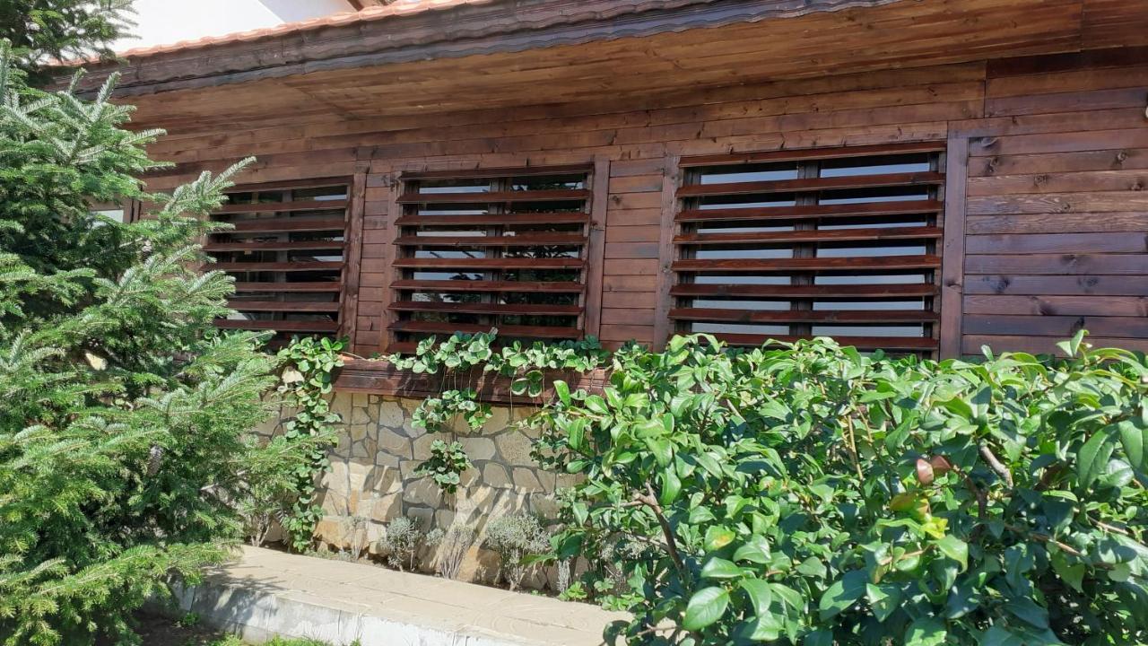 Guesthouse Dida Sapareva Banya Esterno foto