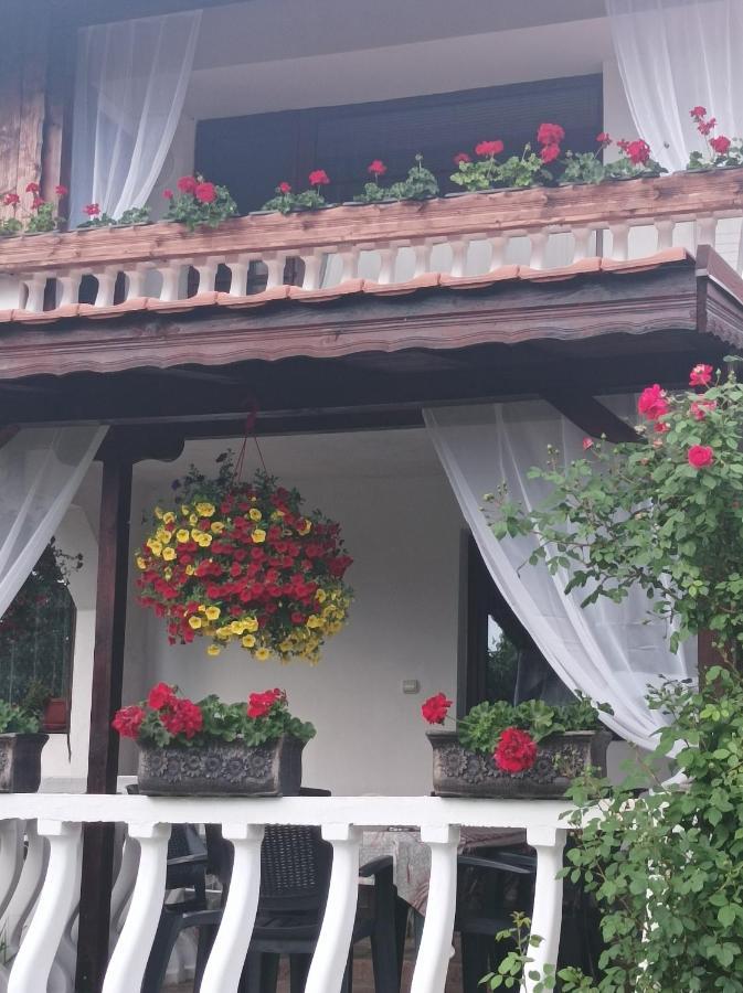 Guesthouse Dida Sapareva Banya Esterno foto